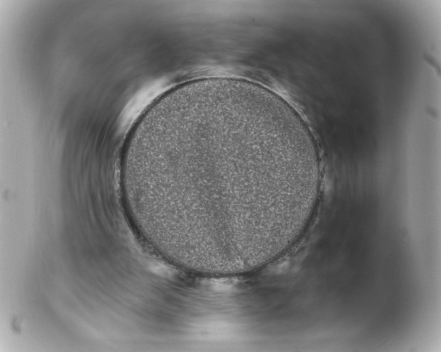 X0000102290103200808152004