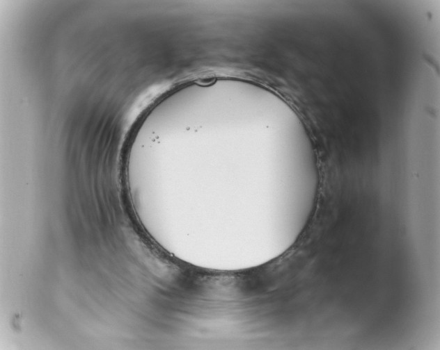 X0000102290104200808152004