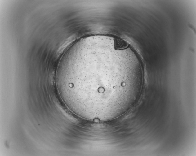 X0000102290105200808152004