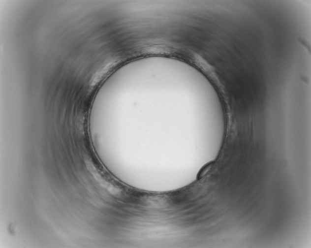 X0000102290106200808152004