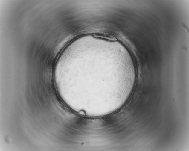 X0000102290107200808152004