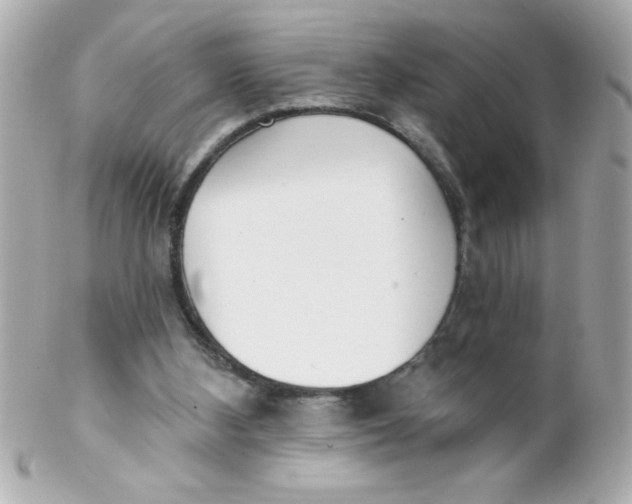 X0000102290108200808152004