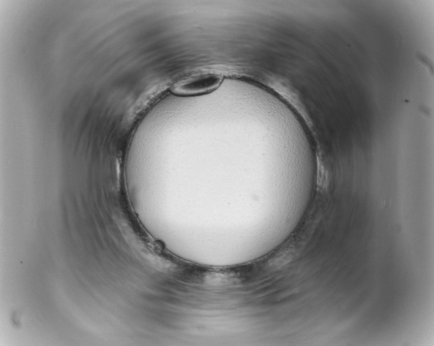 X0000102290109200808152004