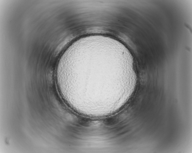 X0000102290111200808152003