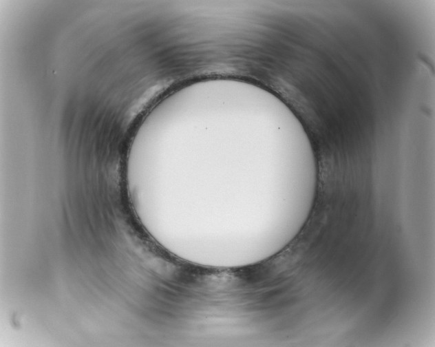 X0000102290112200808152003