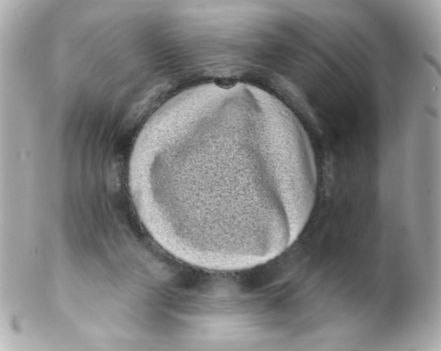 X0000102290114200808152003