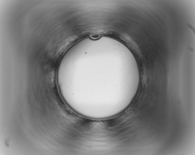 X0000102290115200808152003