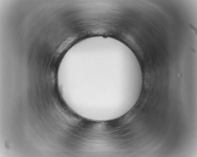 X0000102290116200808152003