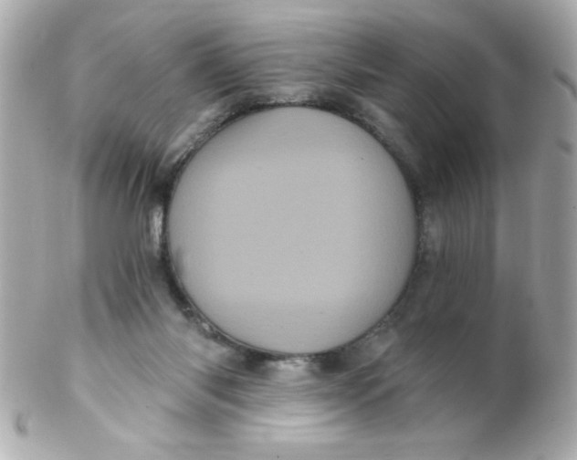 X0000102290118200808152003