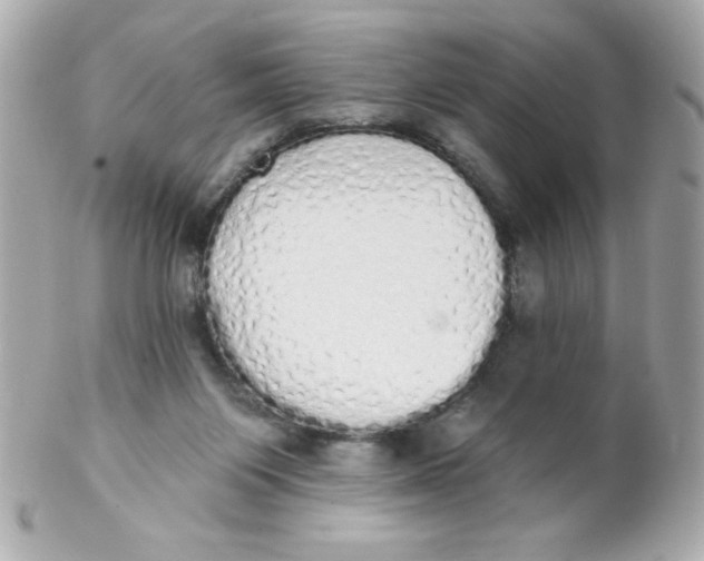 X0000102290119200808152003