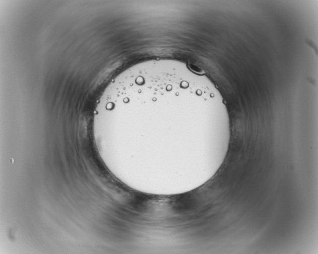 X0000102290120200808152003