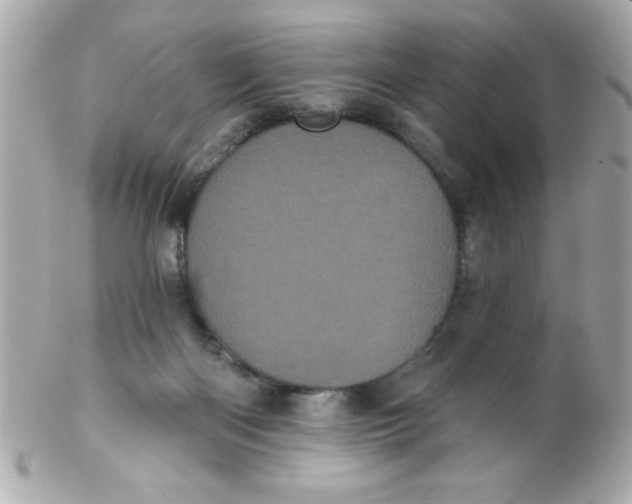 X0000102290122200808152003