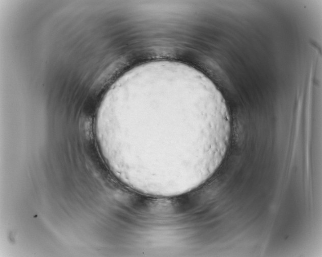 X0000102290123200808152003