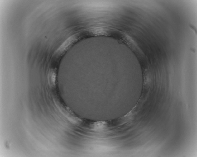 X0000102290124200808152003