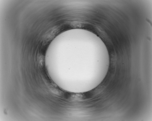 X0000102290125200808152003