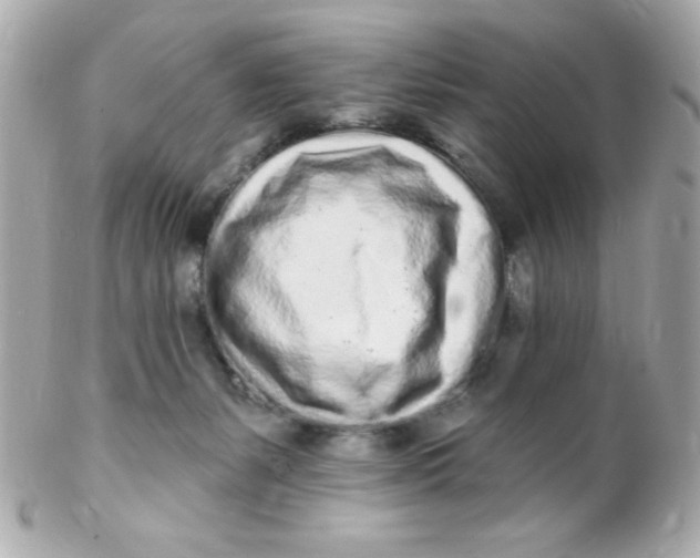 X0000102290127200808152003