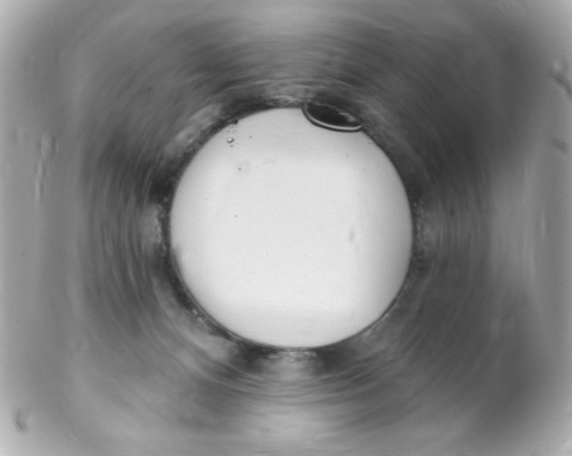 X0000102290128200808152003