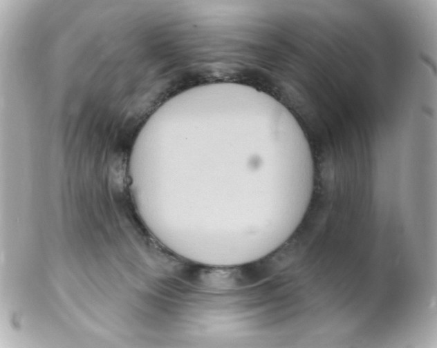 X0000102290129200808152003