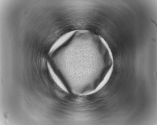 X0000102290130200808152003