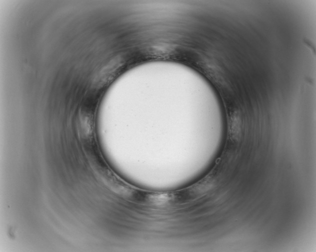 X0000102290131200808152003