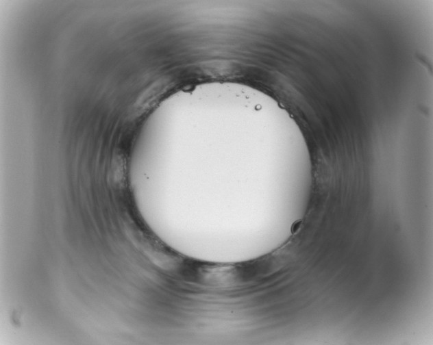 X0000102290132200808152003