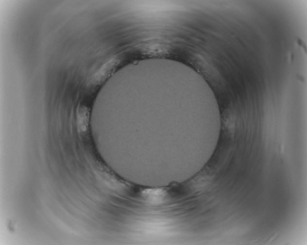 X0000102290133200808152003