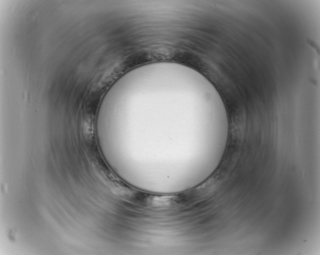 X0000102290134200808152003