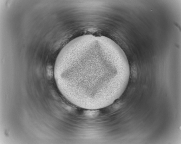 X0000102290135200808152003