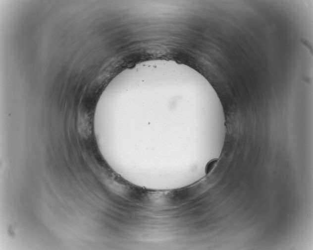 X0000102290136200808152003