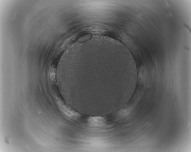 X0000102290137200808152003