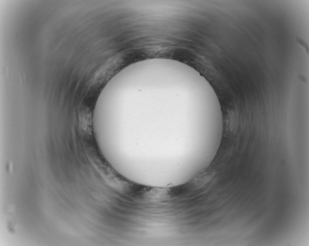 X0000102290138200808152003