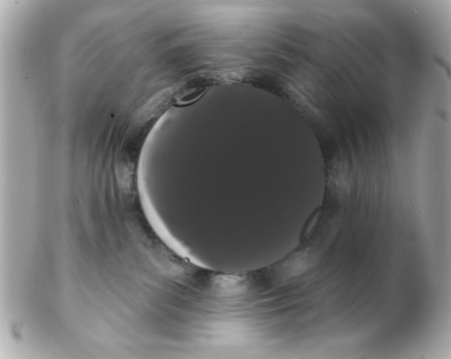 X0000102290139200808152003