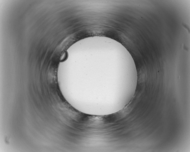 X0000102290140200808152003