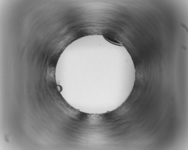 X0000102290141200808152003