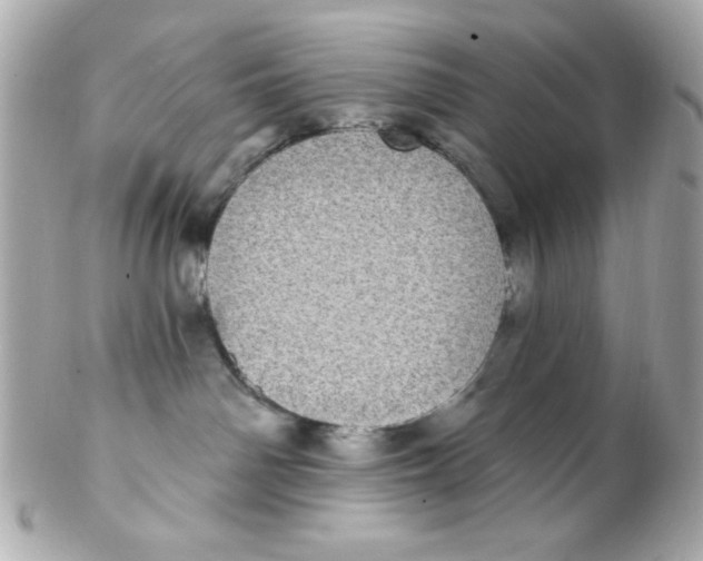 X0000102290142200808152003