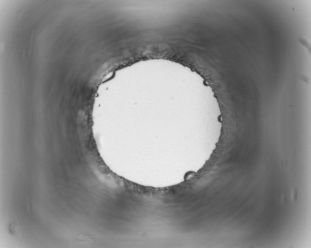 X0000102290144200808152003