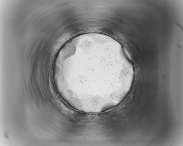 X0000102290145200808152002