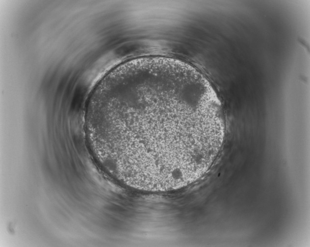 X0000102290146200808152002