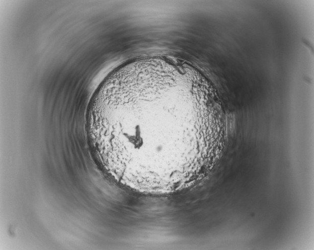 X0000102290147200808152002