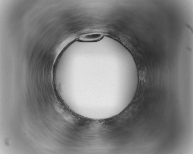 X0000102290148200808152002