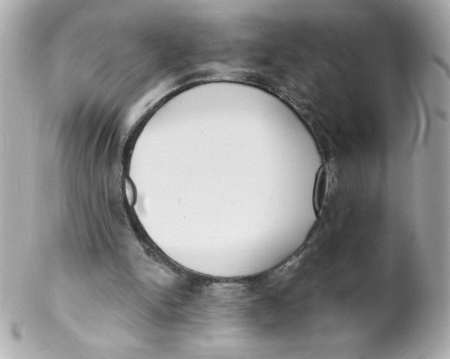 X0000102290150200808152002