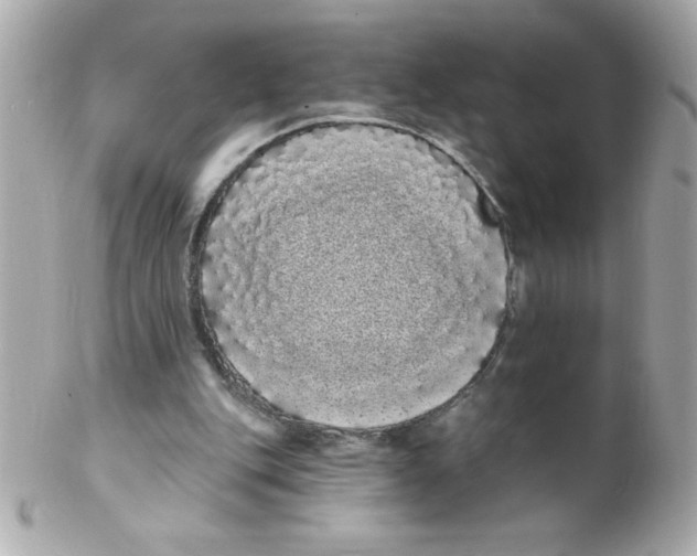 X0000102290151200808152002