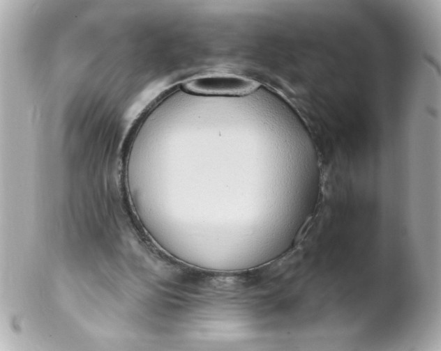 X0000102290152200808152002