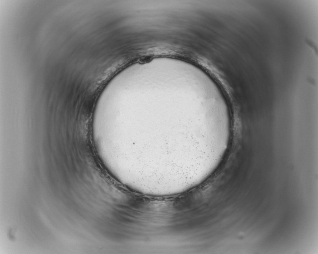 X0000102290153200808152002