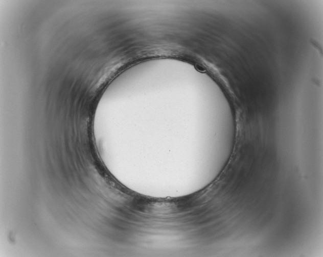 X0000102290154200808152002