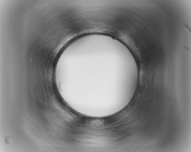 X0000102290156200808152002