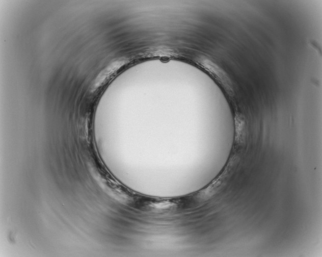 X0000102290158200808152002