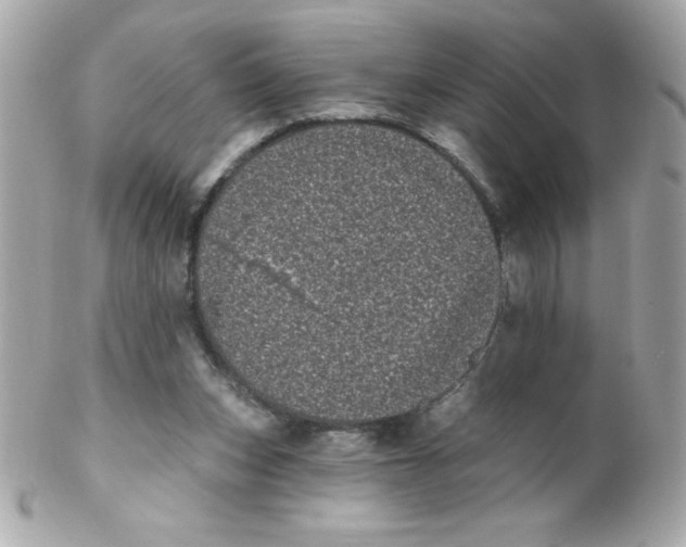 X0000102290159200808152002