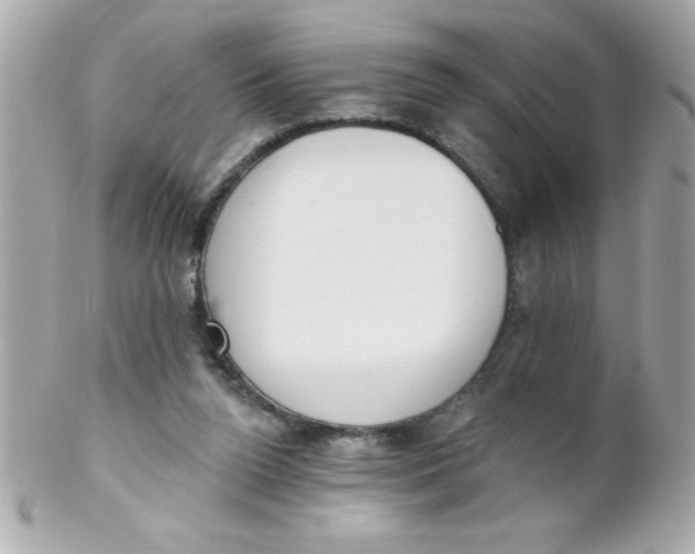 X0000102290160200808152002