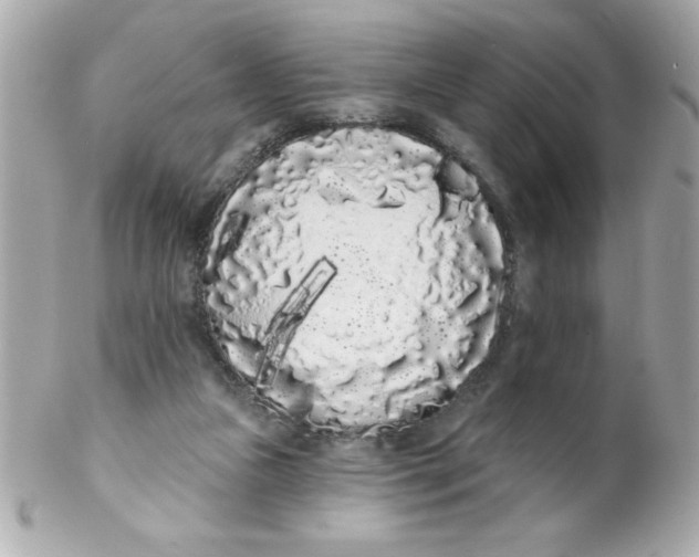 X0000102290161200808152002